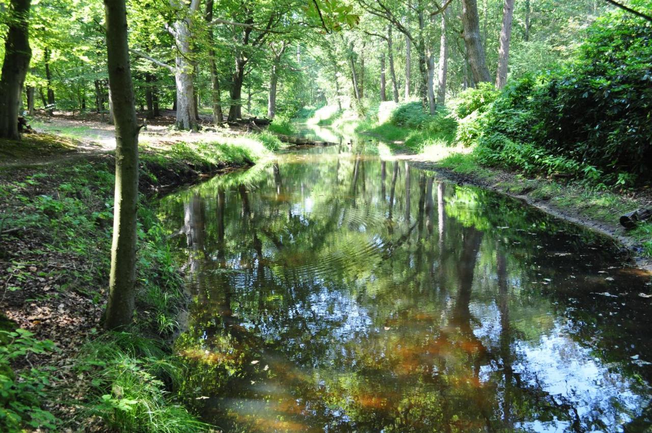 Gasterij Leyduin Villa Vogelenzang Eksteriør bilde